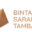 PT Bintang Sarana Tambang Logo