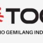 PT Tekno Gemilang Indonesia Logo