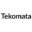 PT Teknologi Otomatis Indonesia Logo